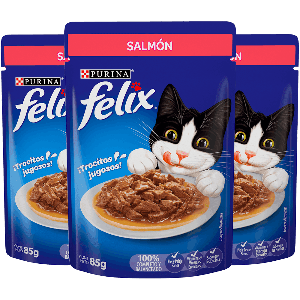 3 Felix Salmon Salsa 85g