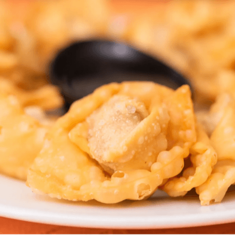 Docena Wantán Frito Especial