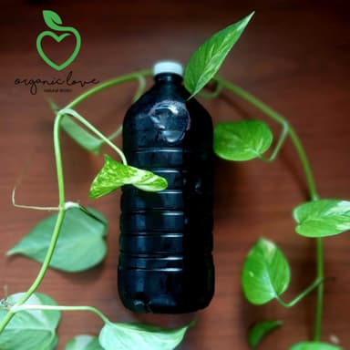 Agua de Jamaica