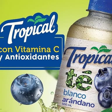 Tropical Té Blanco Cero 2.5 Litros.