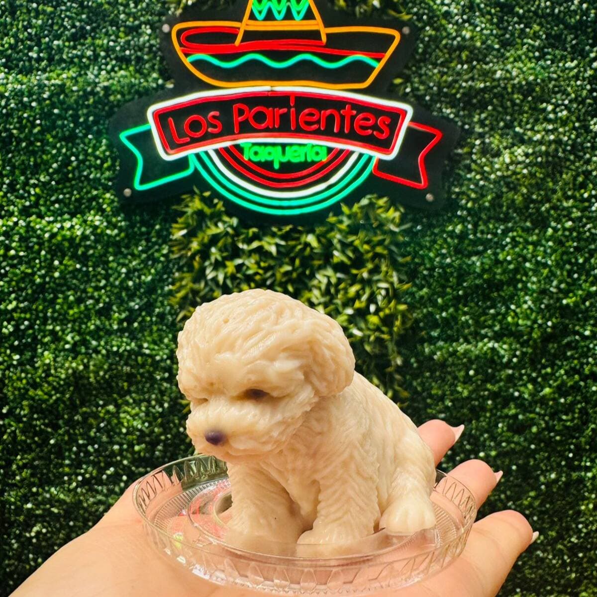 Gelatina Mini de Perrito