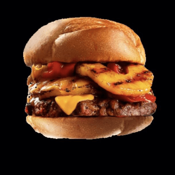 Fly in Burgers