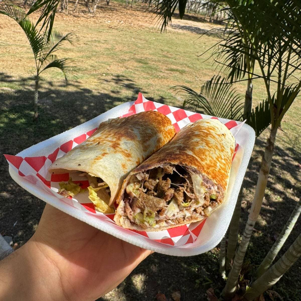 Burrito de Res