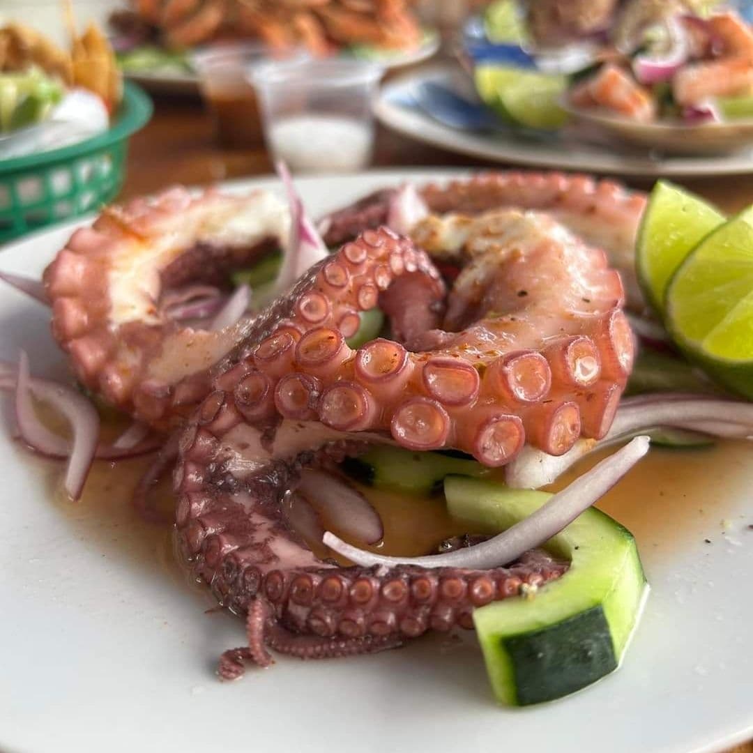 Manita de Pulpo