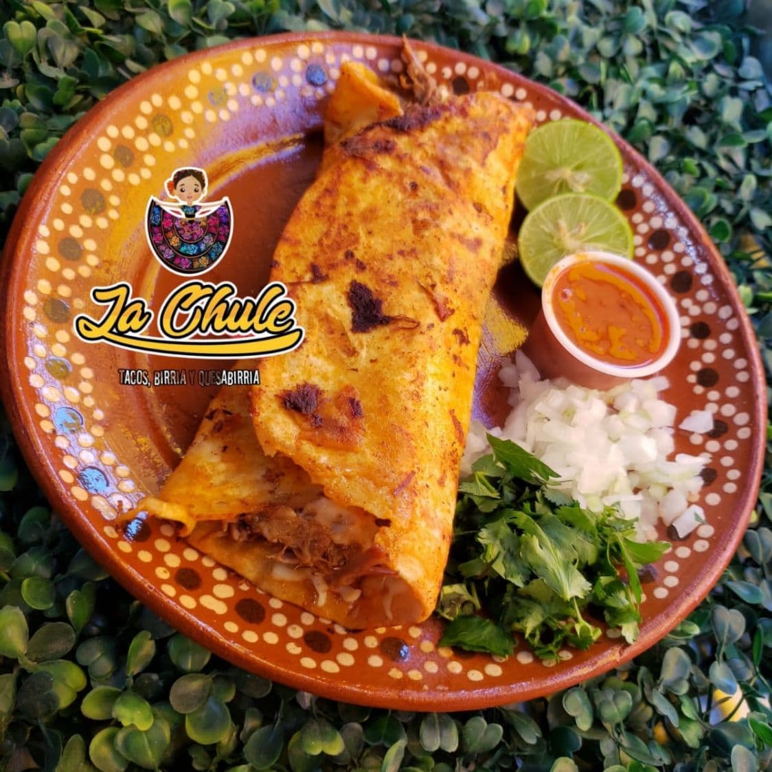 Birriaburrito