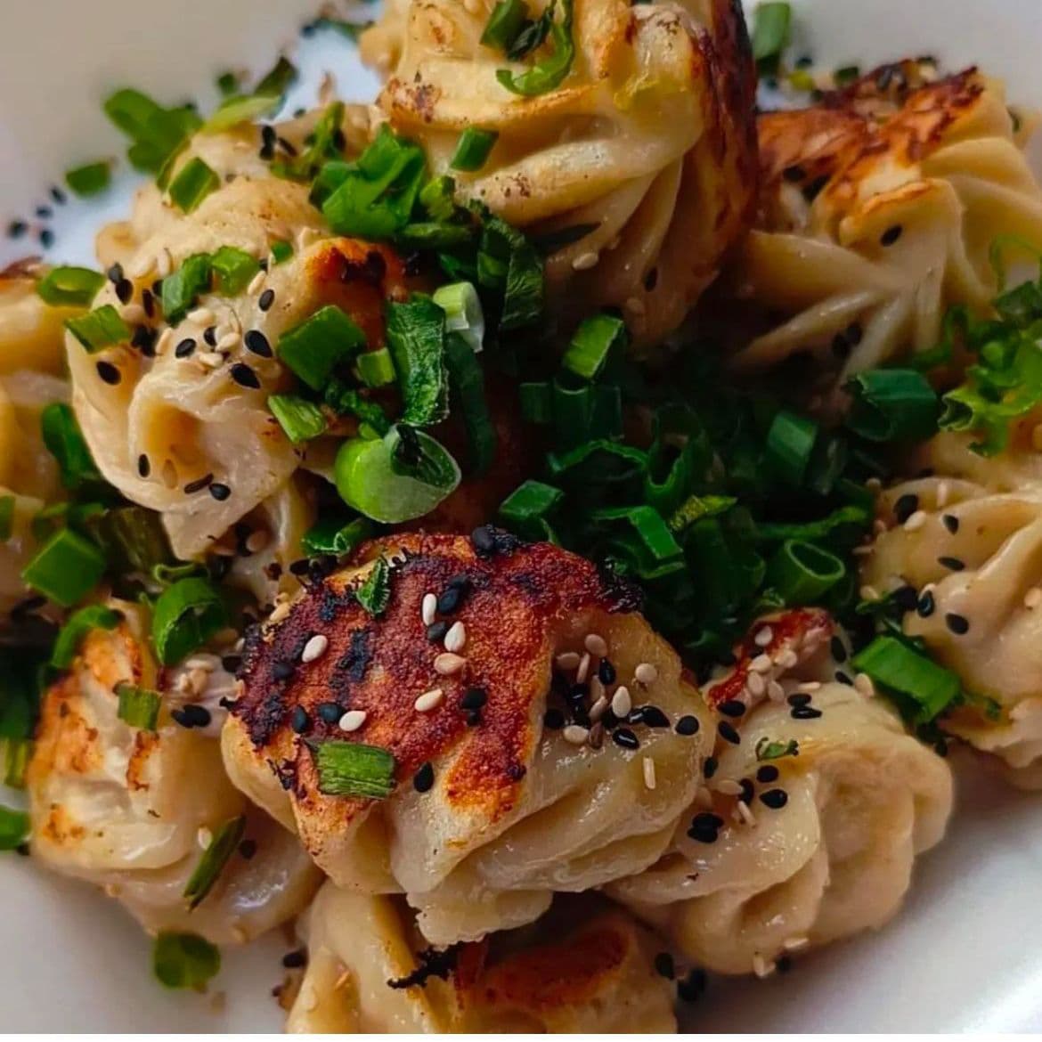 12 Dumplings de Pollo