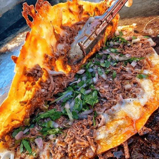 Quesada de birria