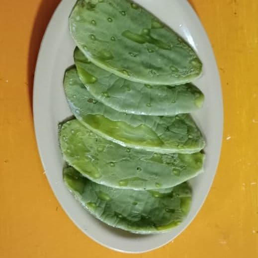 Orden de Nopales
