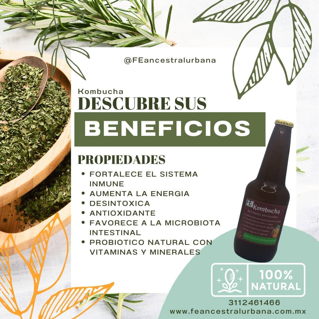 Kombucha Probiotico Embotellada Artesanal