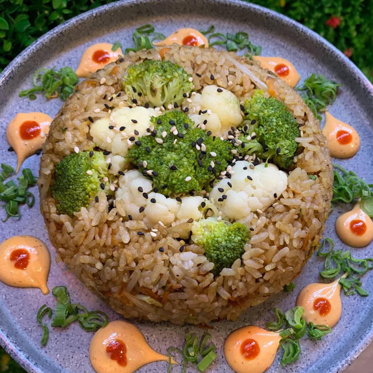 Yakimeshi vegetariano