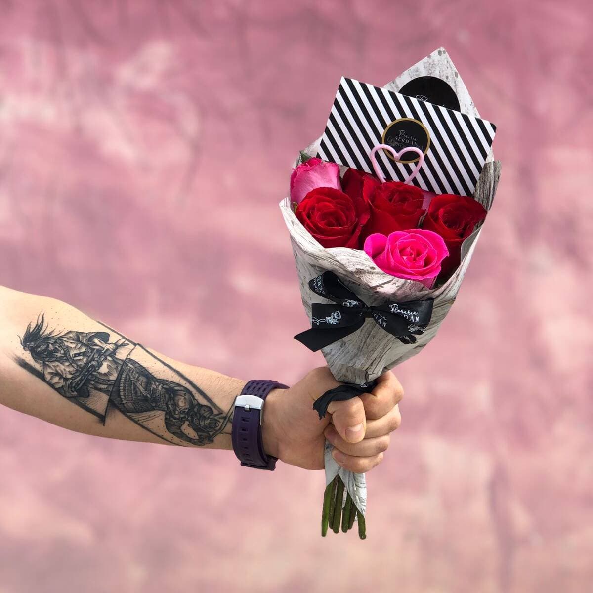 6 Rosas