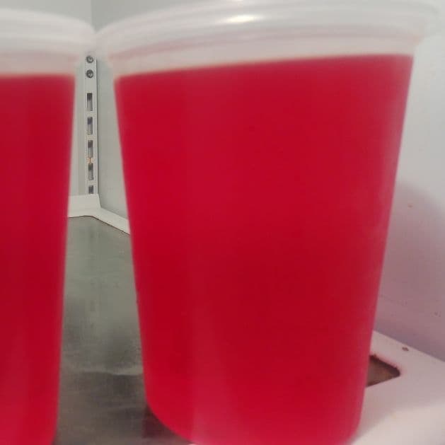 Cuarto de Gelatina Roja