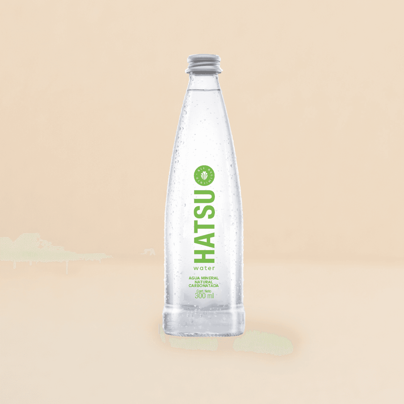 Agua con gas 300ml