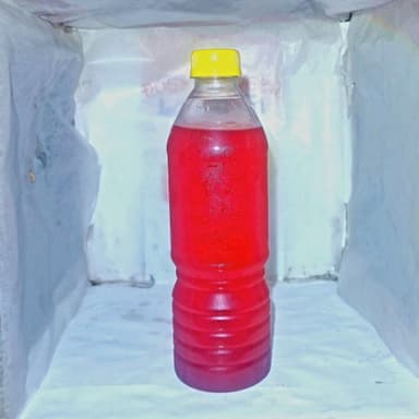 Agua de ponche