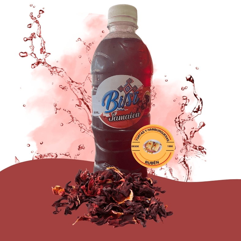 Agua de Jamaica 500ml