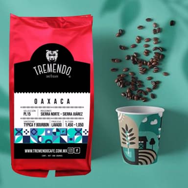 Oaxaca 500 G.