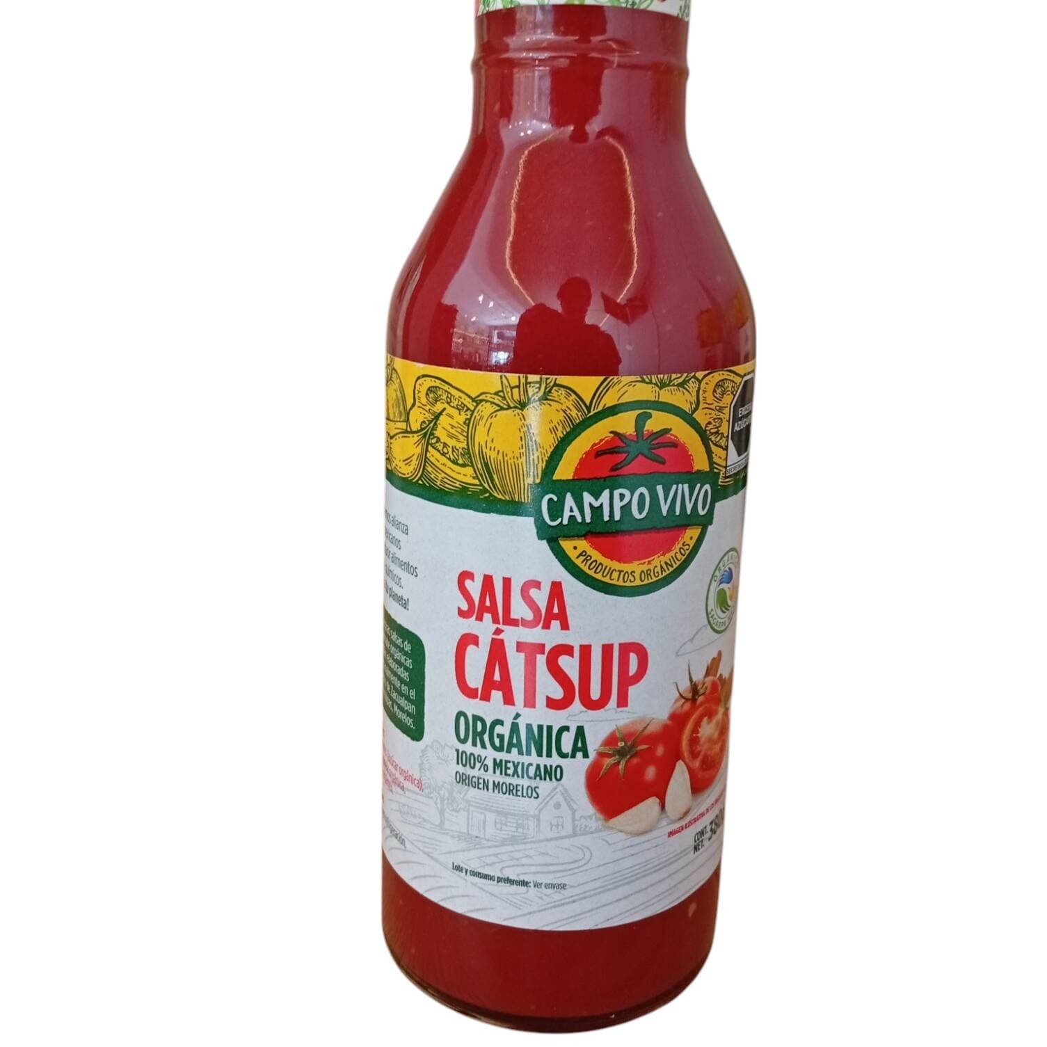 Salsa Catsup Campo Vivo Organico 380g