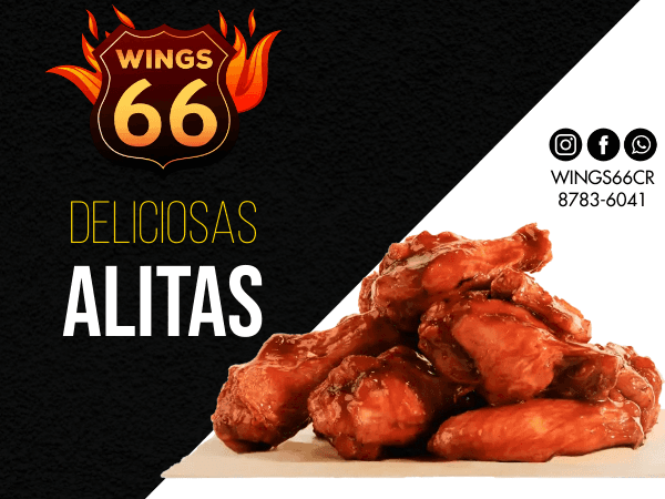 Wings 66