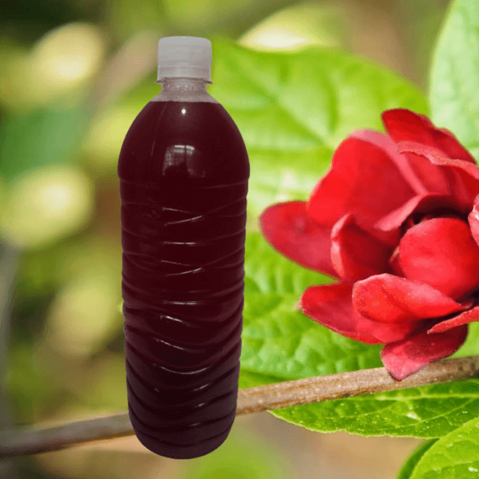 Agua de Jamaica 500 ml