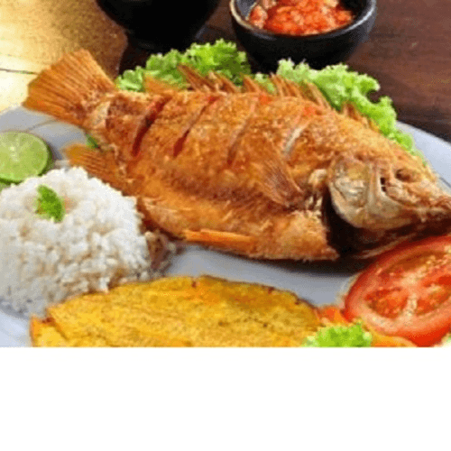 Tilapia