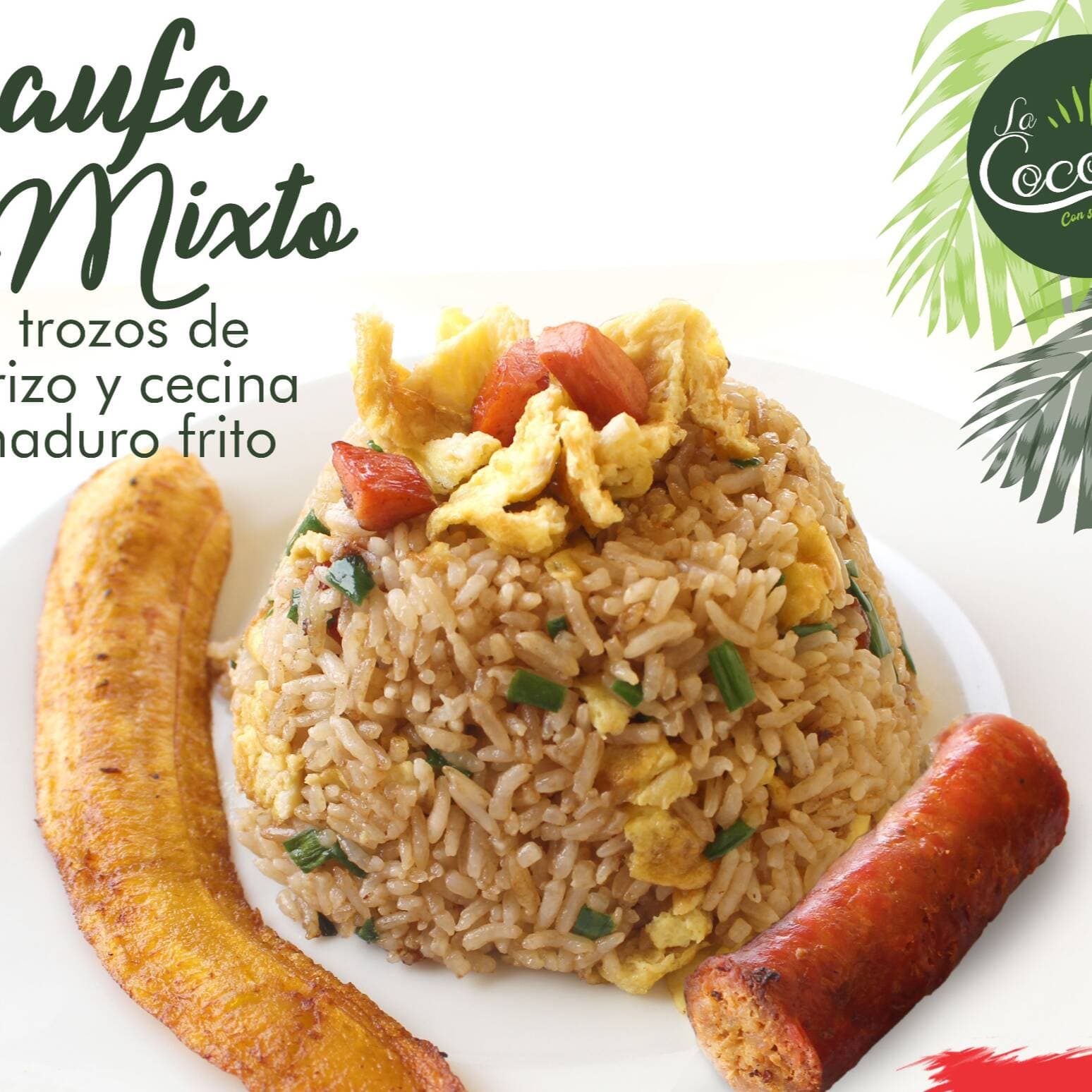 Chaufa Amazónico Mixto