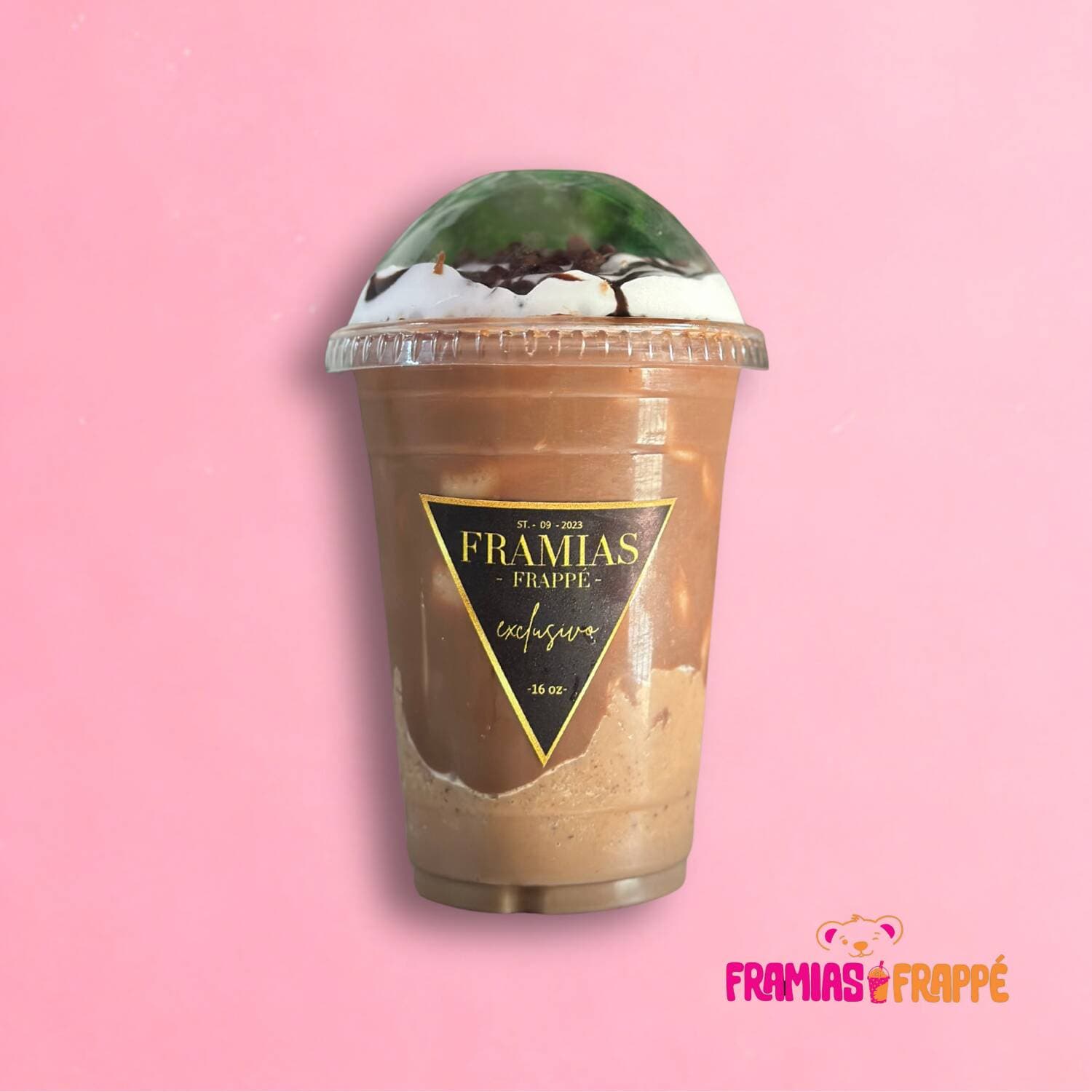 Mocca Frappé Exc. 16onz