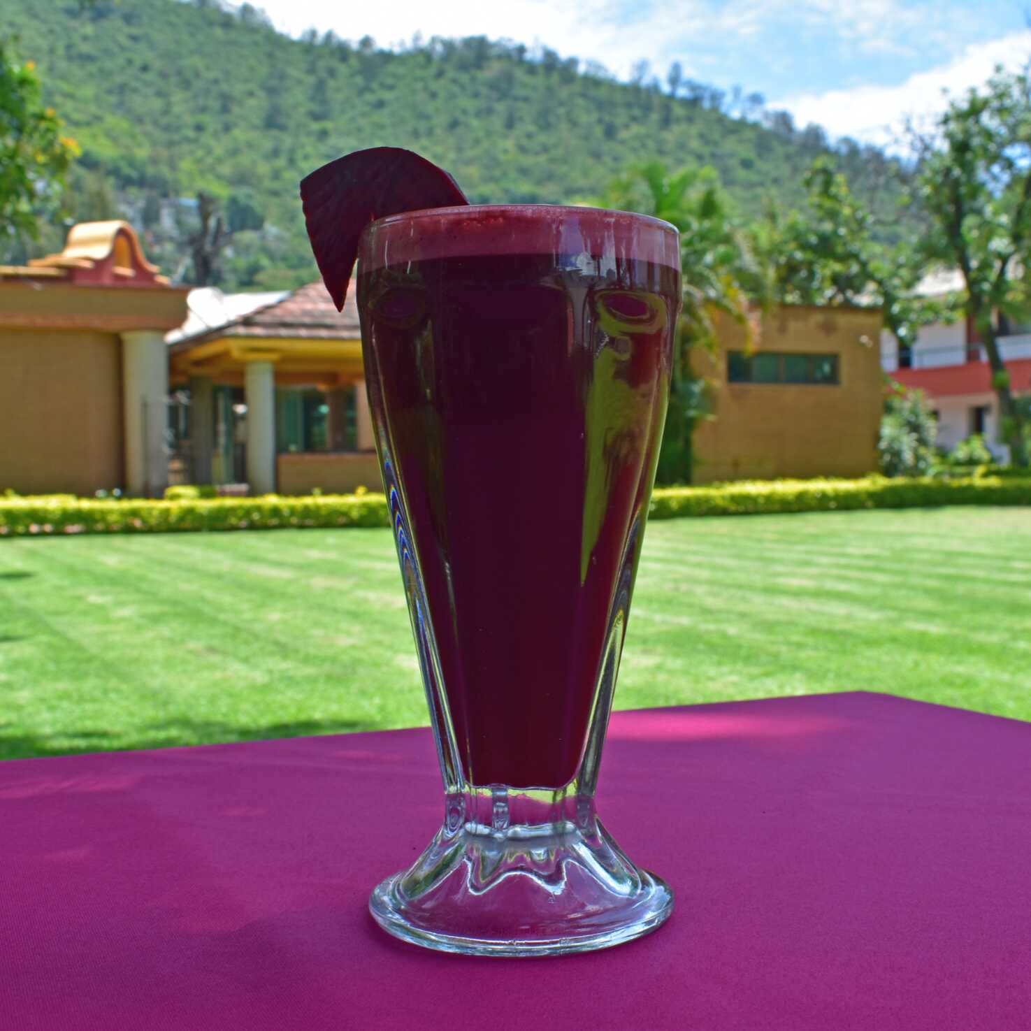 Jugo Vampirín