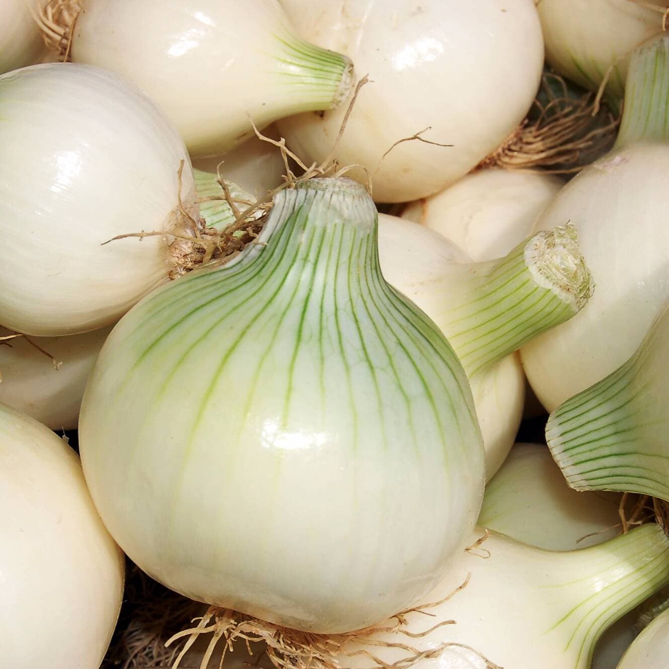 CEBOLLA 550GR(lo de a granel varia en gramos)