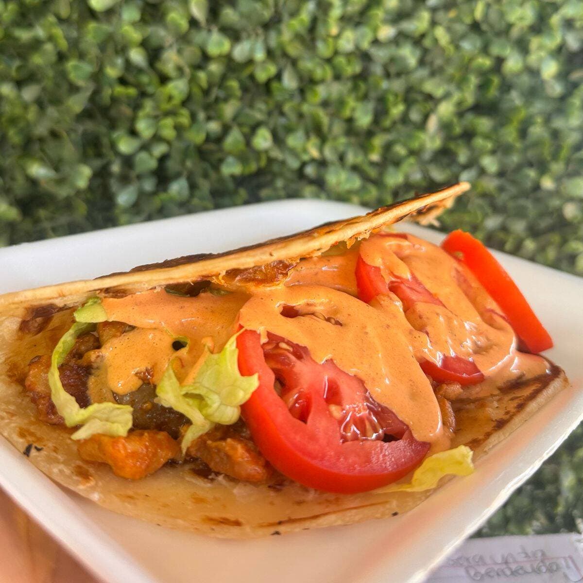 Quesadilla Mixta