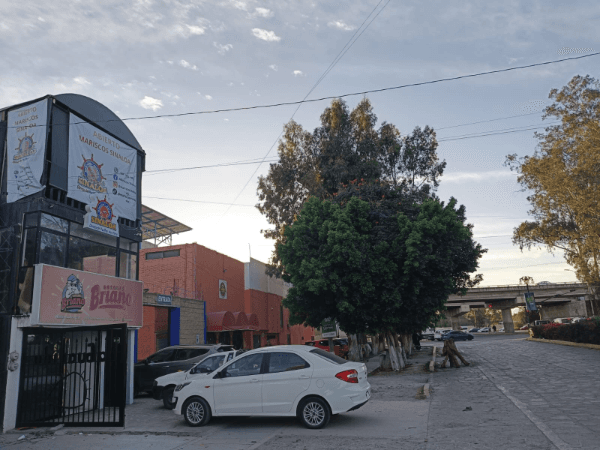 Mariscos Sinaloa Pozos