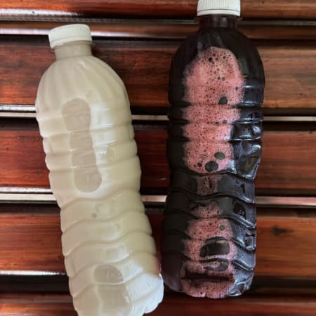 Agua de Jamaica 500ml