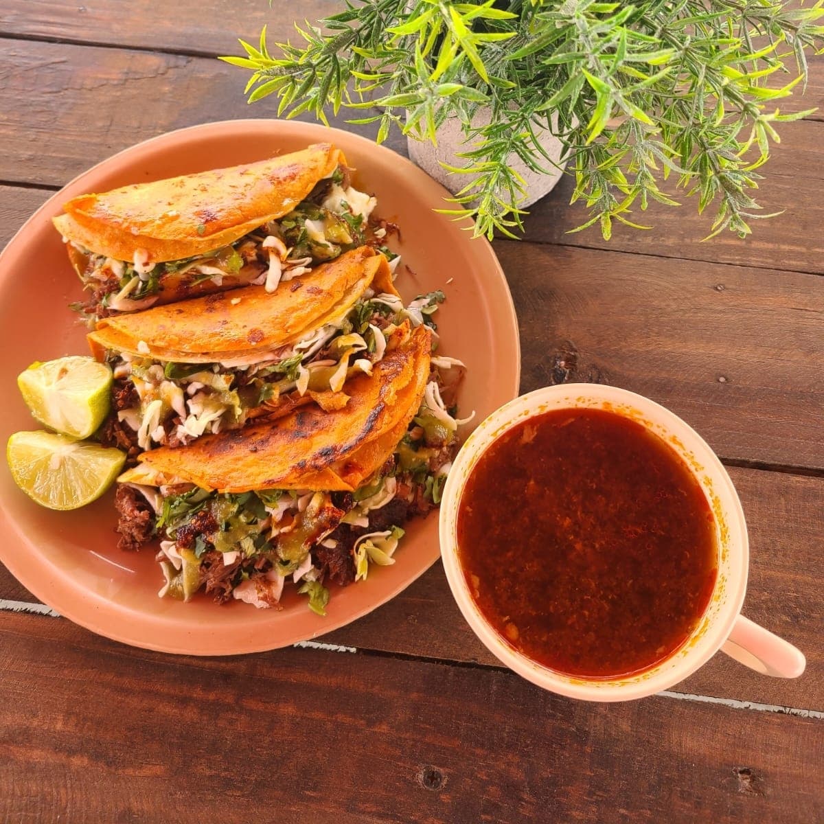Taco de birria maíz