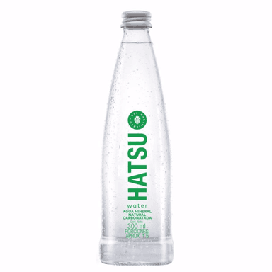 Agua Botella con Gas 300 ml