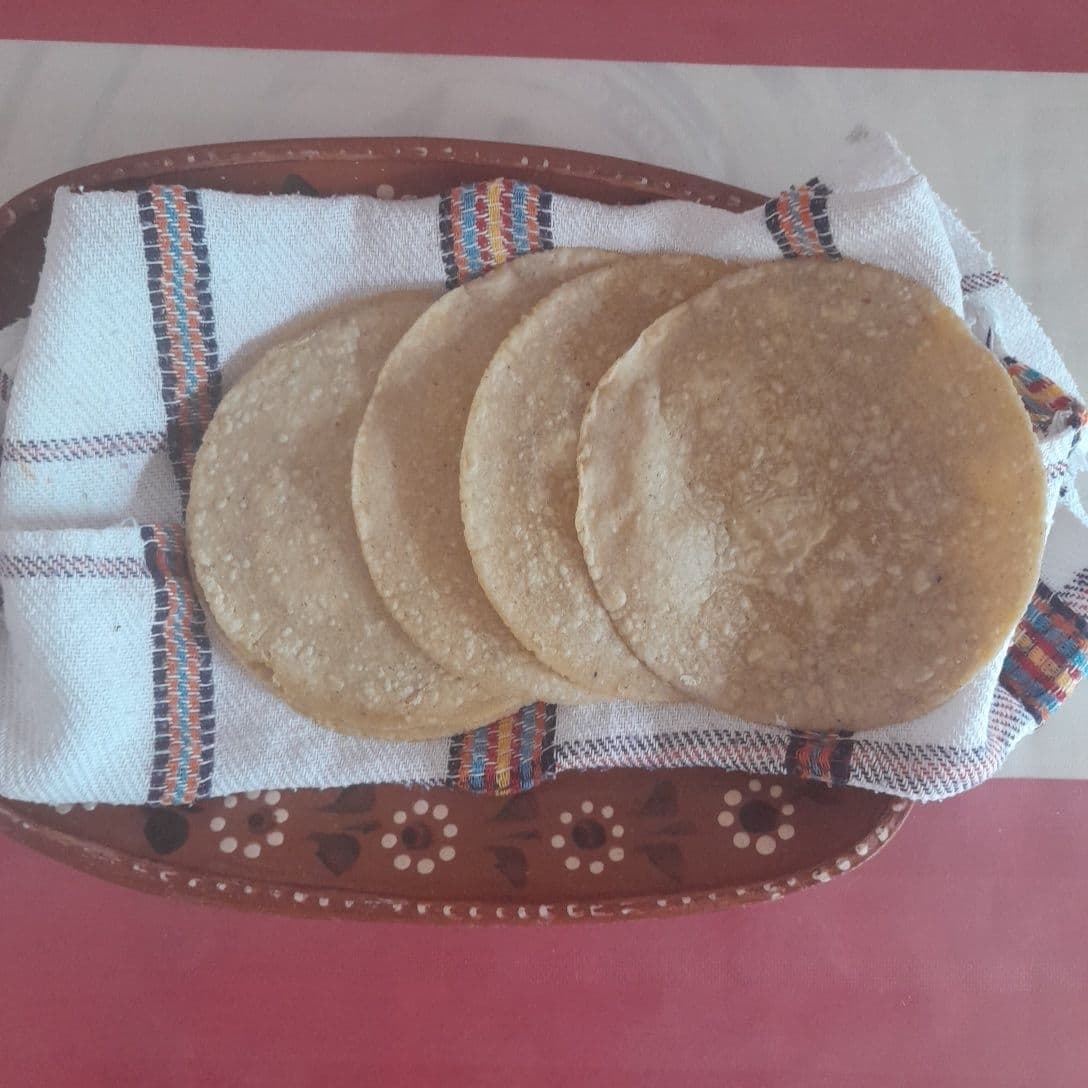 Tortillas 12pzas.