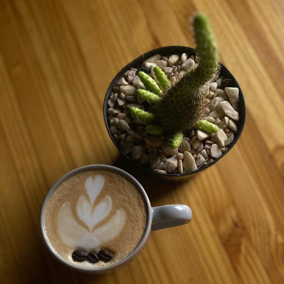 Latte Natural