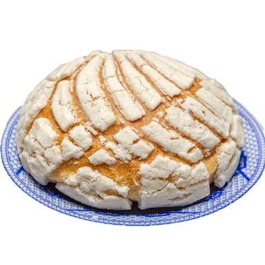 Concha Blanca
