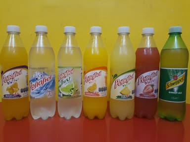 Refrescos 600 Ml