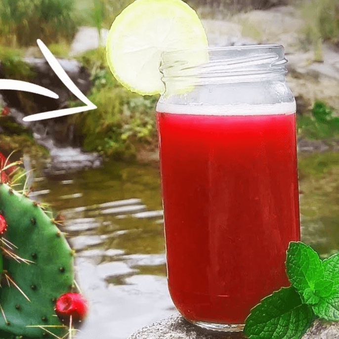 Jugo de Tuna 16 oz