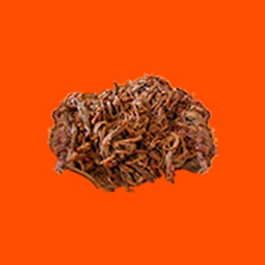 CARNE DESMECHADA
