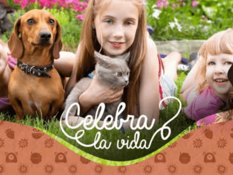 La Cueva del Antojo