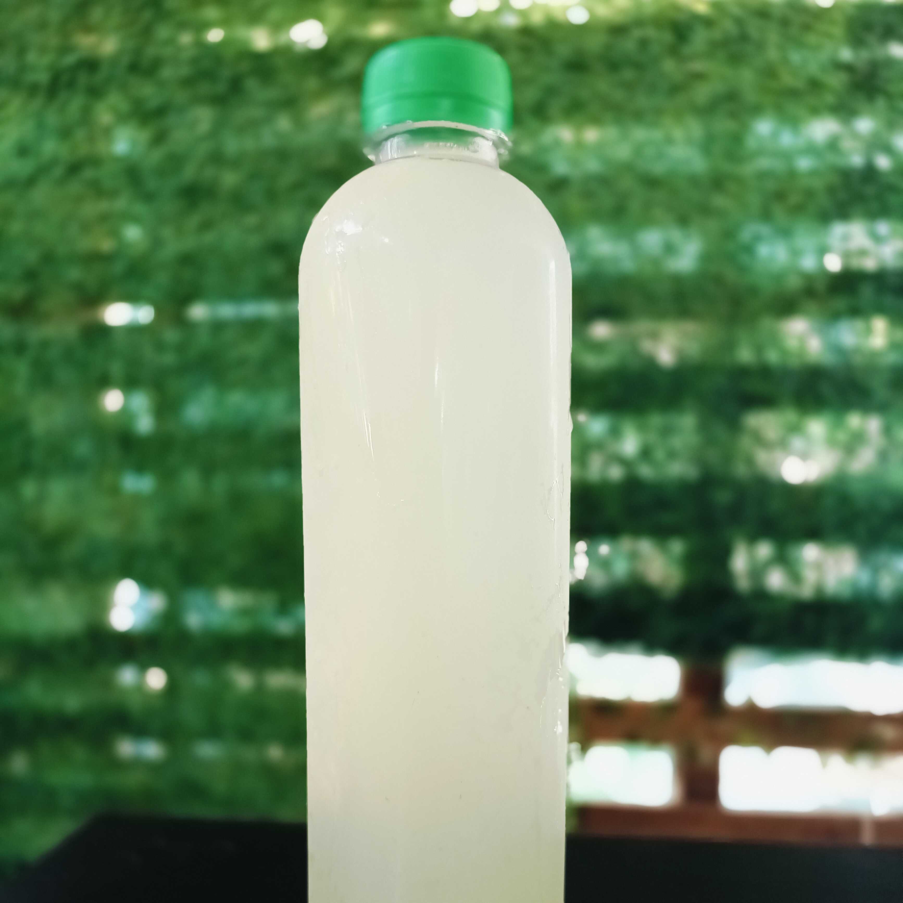 Agua de Pepino y Limón