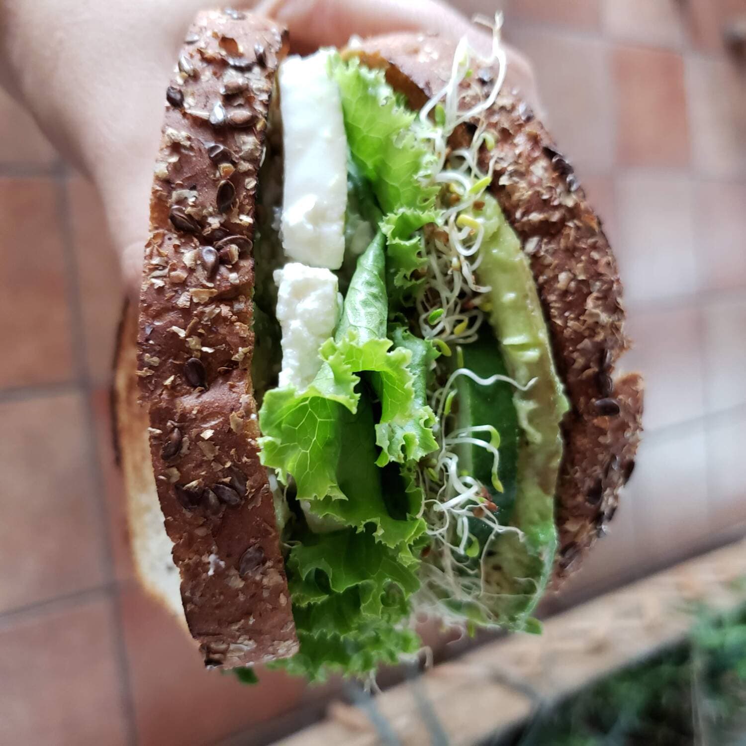 Sándwich Verde