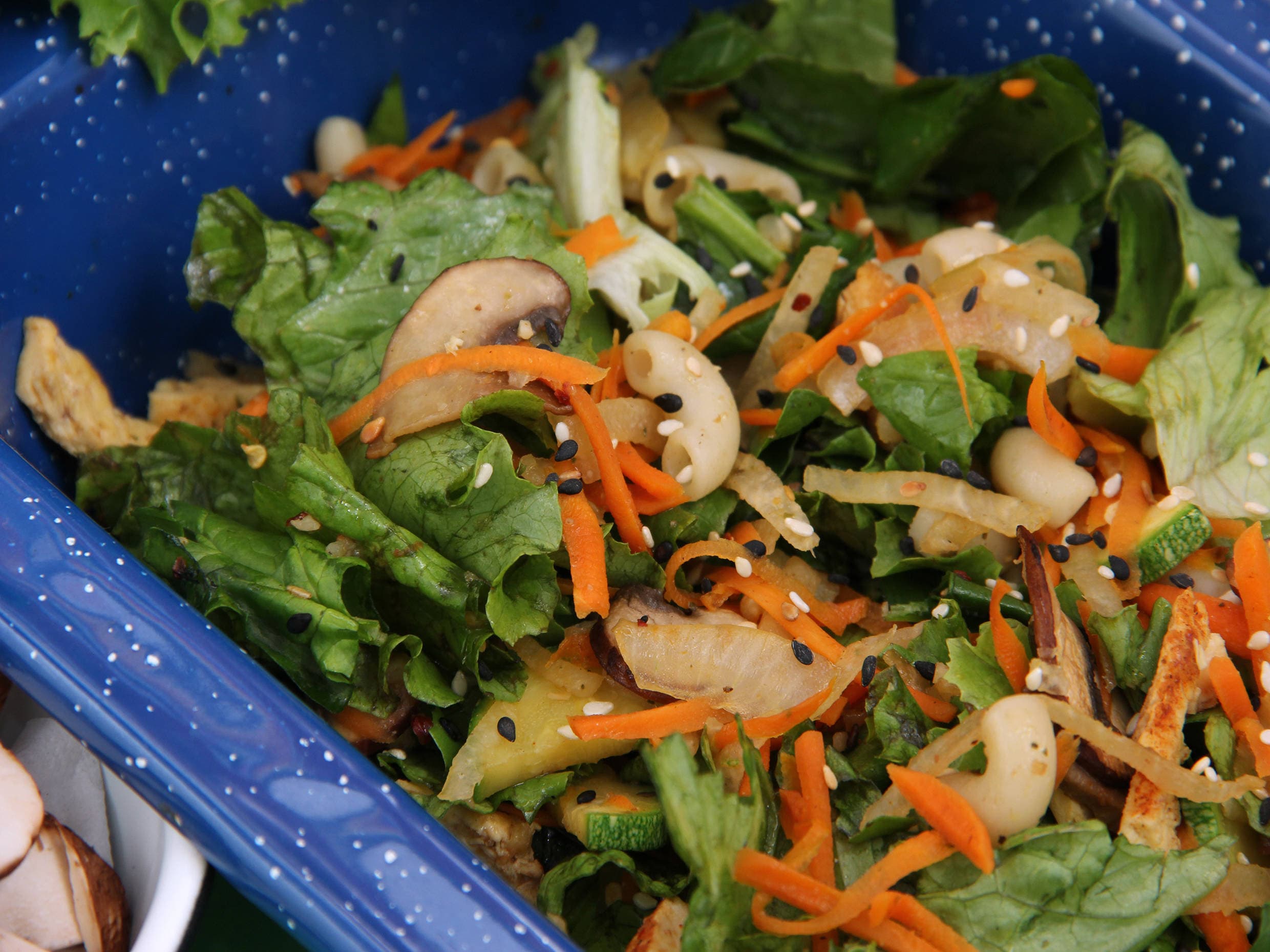 Vegetales a la Plancha con Pasta y Pollo