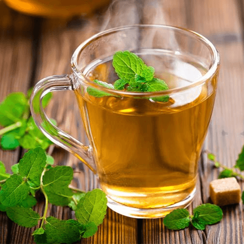 Té Verde Menta Helado