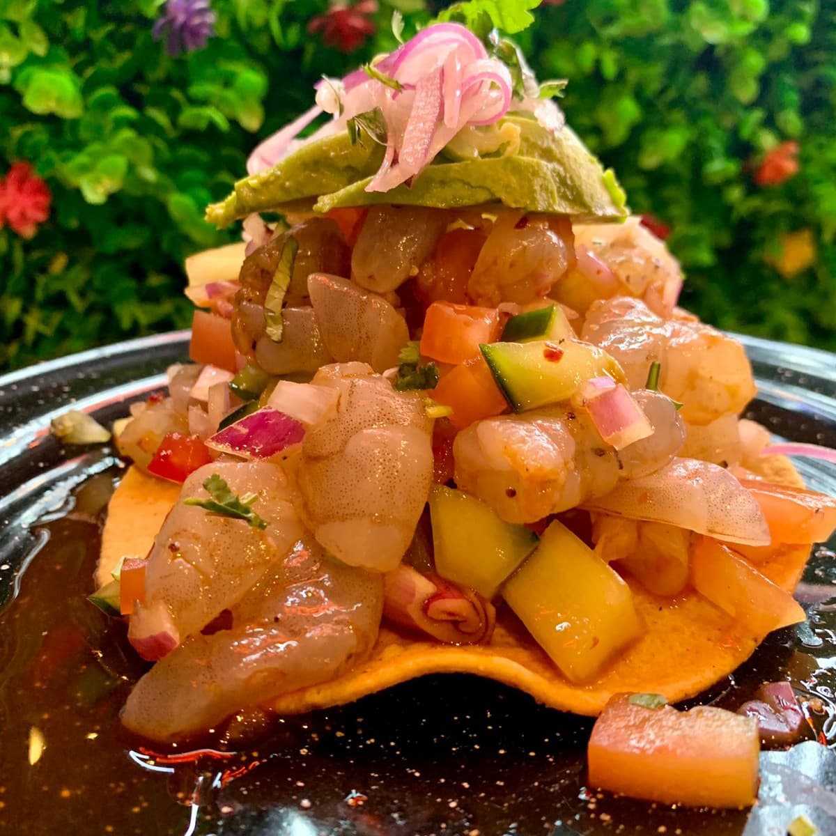 Tostada ceviche de camarón crudo