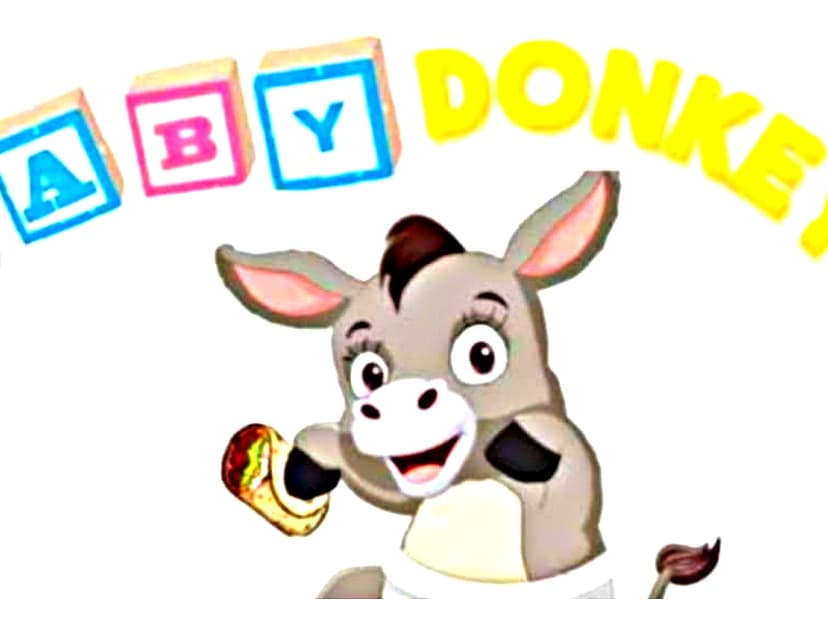 Baby Donkey