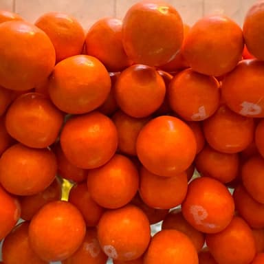 PULPARINDO MANGO