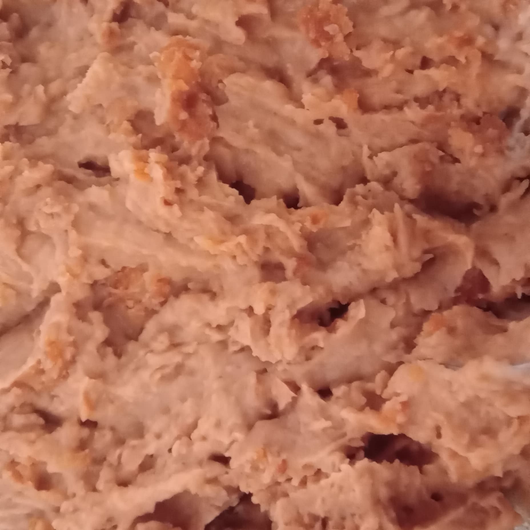 Burrito de frijol