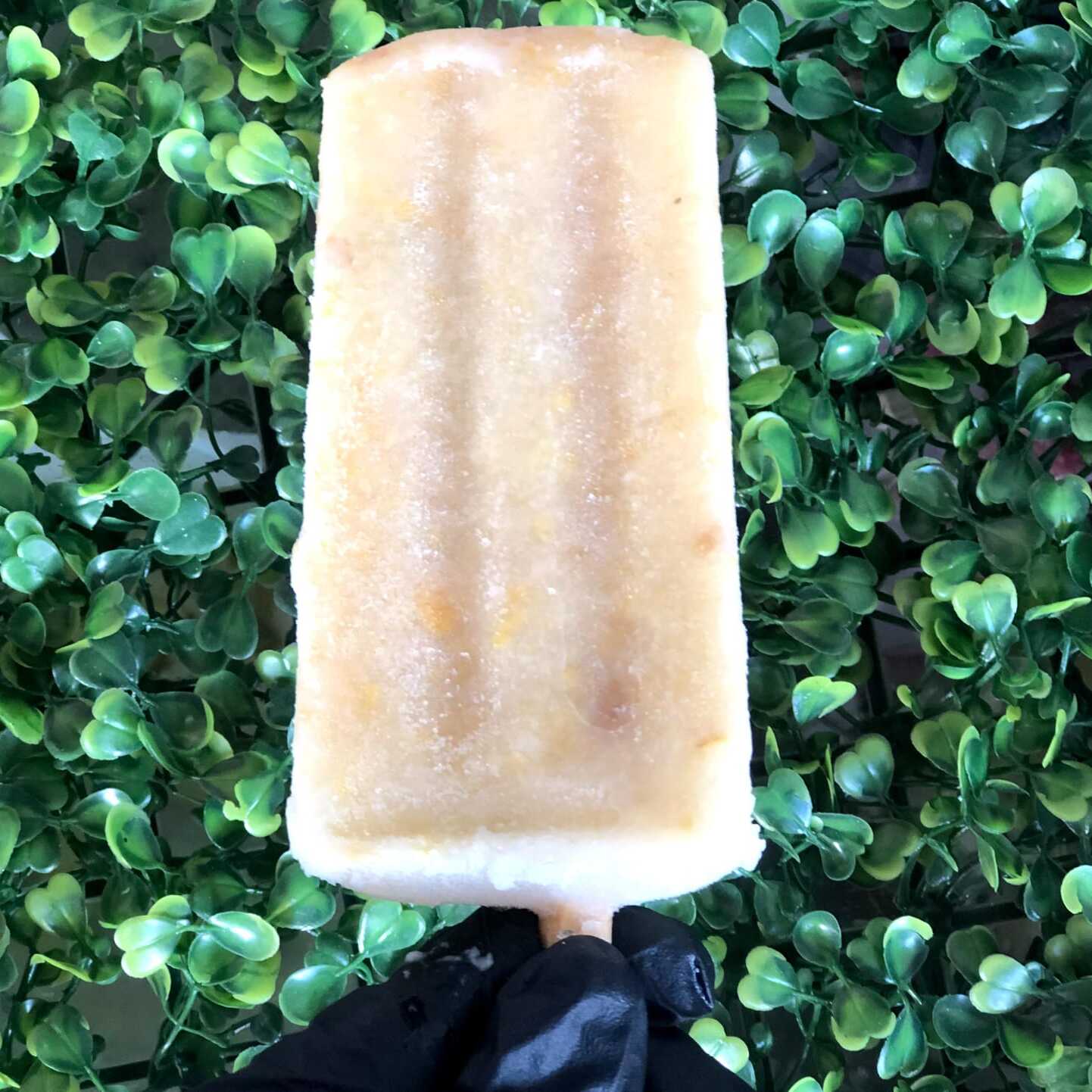 Paleta de Nanche