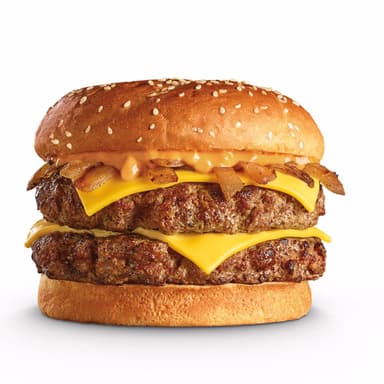 DOUBLE THE FUN BURGER